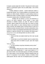 Referāts 'Šizofrēnija un Džons Nešs', 3.