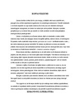 Eseja 'Krimināllikuma jēdziens. Krimināllikuma struktūra', 5.