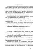 Referāts 'Stikla apstrāde mājas apstākļos', 6.