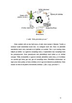 Referāts 'Stikla apstrāde mājas apstākļos', 12.