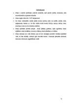 Referāts 'Stikla apstrāde mājas apstākļos', 13.