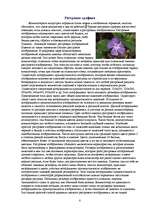 Referāts 'Grafikas attīstība un izmantošana', 8.