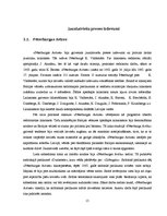 Referāts 'Mācību materiāla izveidošana par jaunlatviešiem', 15.