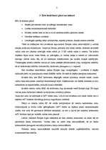 Referāts 'Eiro ieviešana', 8.