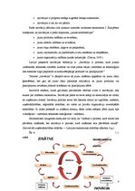 Referāts 'Inovatīvā uzņēmējdarbība Latvijā', 8.