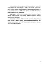 Referāts 'Inovatīvā uzņēmējdarbība Latvijā', 15.