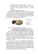 Referāts 'Inovatīvā uzņēmējdarbība Latvijā', 21.