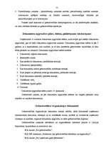 Prakses atskaite 'Kvalifikācijas prakses atskaite', 52.