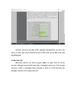 Referāts 'Attīstības iespējas Rēzekē', 5.