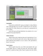 Referāts 'Attīstības iespējas Rēzekē', 6.