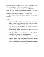 Referāts 'Attīstības iespējas Rēzekē', 7.