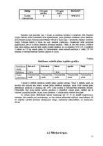 Referāts 'Reklāmas radošais darba plāns SIA "Stendera Ziepju Fabrikas" ražotajam produktam', 15.