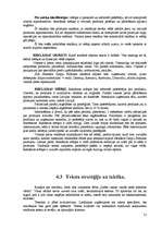 Referāts 'Reklāmas radošais darba plāns SIA "Stendera Ziepju Fabrikas" ražotajam produktam', 21.