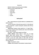 Konspekts 'Rodenticīdi', 2.