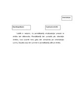 Referāts 'Pamatlīdzekļi un to uzskaite uzņēmumā', 6.