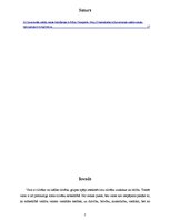 Referāts 'Valsts varas tiesiskais pamats', 2.