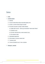 Referāts 'Stereotipu mazināšana par dzimuma ietekmi profesijas izvēlē. Vienādas iespējas i', 2.