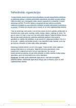 Referāts 'Stereotipu mazināšana par dzimuma ietekmi profesijas izvēlē. Vienādas iespējas i', 11.