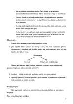 Konspekts 'Konspekts grāmatvedībā. Bilance', 5.