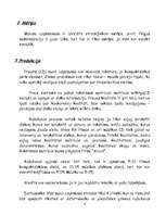 Biznesa plāns 'Veikals', 4.