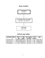 Biznesa plāns 'Veikals', 7.