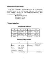 Biznesa plāns 'Veikals', 8.