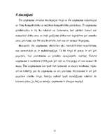 Biznesa plāns 'Veikals', 12.