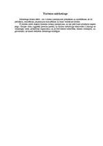 Referāts 'Latvijas tūrisma mārketings', 3.