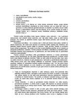 Referāts 'Latvijas tūrisma mārketings', 9.