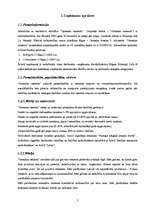 Biznesa plāns 'SIA "Jūrmalas cements"', 5.