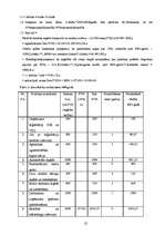 Biznesa plāns 'SIA "Jūrmalas cements"', 25.