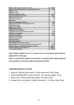 Biznesa plāns 'SIA "Jūrmalas cements"', 30.