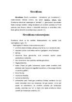 Referāts 'Sirreālisms', 3.