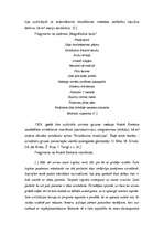 Referāts 'Sirreālisms', 6.