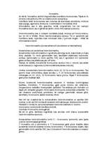 Konspekts 'Hromatīns', 1.