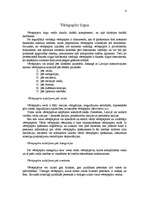 Referāts 'Vērtspapīru tirgus', 4.