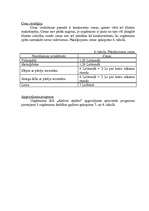 Biznesa plāns 'SIA "Aktīvai atpūtai"', 8.