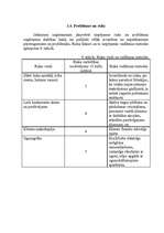 Biznesa plāns 'SIA "Aktīvai atpūtai"', 11.