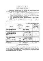 Biznesa plāns 'SIA "Aktīvai atpūtai"', 12.