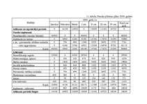 Biznesa plāns 'SIA "Aktīvai atpūtai"', 13.