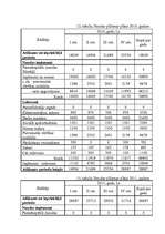 Biznesa plāns 'SIA "Aktīvai atpūtai"', 14.