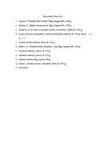 Referāts 'Bizantija', 13.