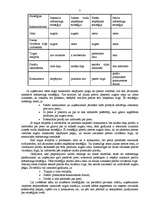 Referāts 'Mārketinga stratēģijas atbilstība produkta dzīves cikla posmam', 7.