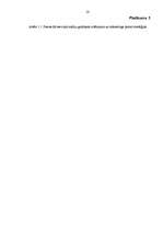 Referāts 'Mārketinga stratēģijas atbilstība produkta dzīves cikla posmam', 16.