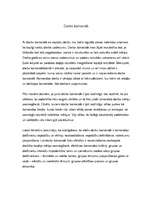 Eseja 'Darbs komandā', 1.