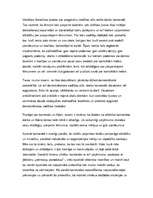 Eseja 'Darbs komandā', 2.