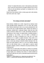 Referāts 'Etniskie stereotipi', 5.