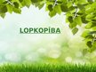 Prezentācija 'Lopkopība', 1.