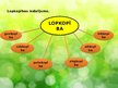 Prezentācija 'Lopkopība', 4.