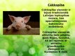 Prezentācija 'Lopkopība', 6.
